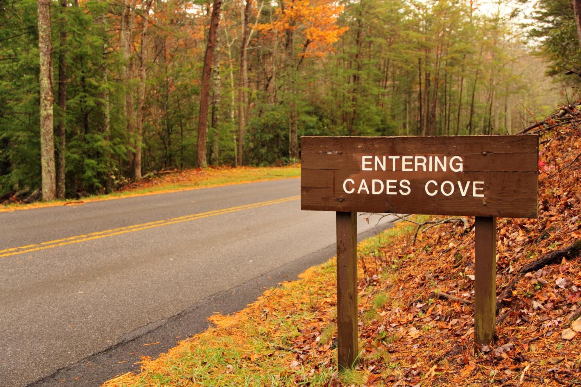 A Happy Cottage- Get 951 Worth Of Free Area Attraction Tickets For Each Paid Day! Pigeon Forge Eksteriør bilde